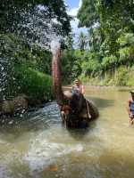 /album/fotogaleria-sri-lanka-vy-a-my/sri-lanka-maldivy-zajazd-277-jpg3/